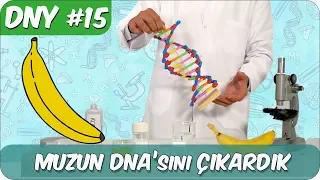 Fen Deneyi #15 | Muzun DNA'sını Çıkardık!