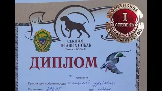 Испытания по водоплавающей в Томске 2021