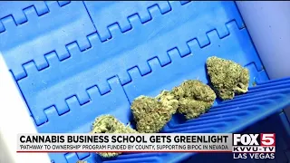 Cannabis business school helps BIPOC Nevadans entering industry