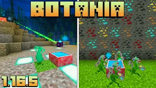 ГАЙД ПО BOTANIA 1.16.5 #7 ФУНКЦИОНАЛЬНАЯ ФЛОРА