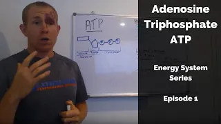 Adenosine Triphosphate: ATP an introduction to energy