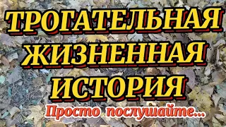 "ТЫ ЖИЛ СО МНОЮ, НЕ ЛЮБЯ" автор Надежда Ласточкина читает Nataliya Prokoshina