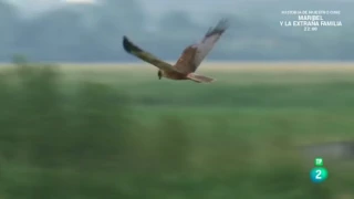 Grandes Documentales-Natura Atlantica ( Francia, Islas del canal )