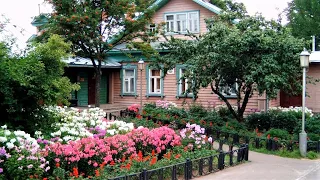 🌺Лучшие примеры украшения садового участка / The best examples of garden design