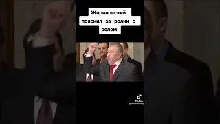 Это ишак а не ослик.