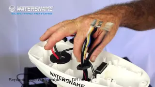 Watersnake—Curly Cable Replacement For DR Model Motors