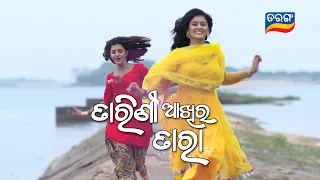 Tarini Akhira Tara | Title Song | TarangTV