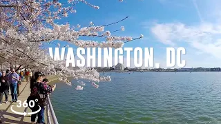 Washington, DC Guided Tour in 360° VR