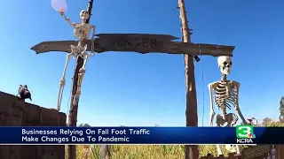 Local Halloween attractions make adjustments amid pandemic