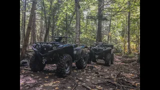 Grizzly vs Grizzly - Elka Suspension Test, Drag Race & Trail Ride