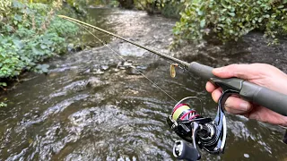 Wild River Trout on Spinning Tackle