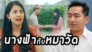 หนังสั้น เรื่อง ดอกฟ้ากับหมาวัด