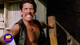 Pelea De Cuchillos Entre Danny Trejo y Steve Buscemi | Desperado (1995) | Now Español