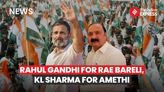 Amethi Raebareli Seat: Congress Picks Rahul Gandhi For Raebareli, Nominates KL Sharma For Amethi