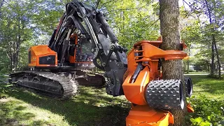 Dangerous Fast Destroy Big Tree Machine Working - Extreme Equipment Excavator Cutting Tree Machine