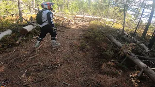 Exploring Interface OHV (frustrating and exhausting day, lots of downed trees and got lost)