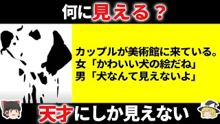 【ゆっくり解説】天才しか見えない！錯視クイズ！