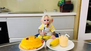 Monkey Bibi has breakfast with cakes
