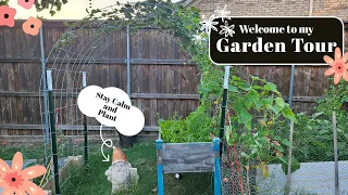 🌳Backyard Garden Tour in Tamil | USA Garden tour | USA tamil vlogs | Dallas Texas | தமிழில்