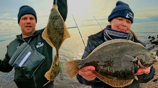 Plattfisch in der Ostsee erfolgreich angeln vom Ufer #angeln #fishing #plattfisch #ostsee #brandung