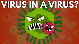 Can a Virus Get a Virus?