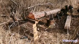 Начало нового сезона металлокопа.Эпопея с трубой продолжается.Дергаем трубу через бревно.