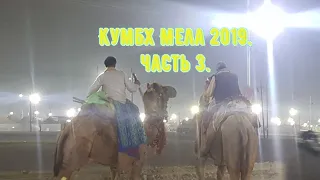 Индия / Кумбх Мела 2019 / часть 3