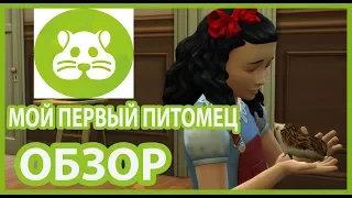 The Sims 4 Мой первый питомец - обзор каталога № 1 (КАС и мебель)