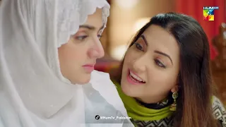 Ibn-e-Hawwa - Episode 17 - Best Scene 05 - HUM TV