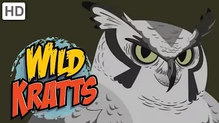 Wild Kratts - Feathered Friends