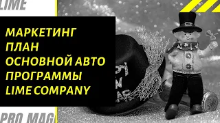 Маркетинг Основной Авто программы Lime Company