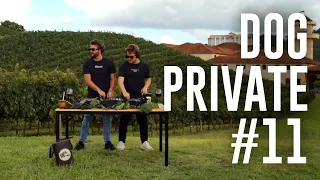 Dubdogz- DOGPRIVATE #11 (Vinícola Miolo, Bento Gonçalves - RS)