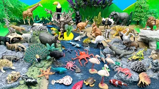 사파리 킹 동물과 해양 동물 |어린이를 위한 디오라마 야생동물