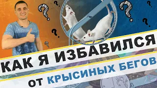 Как я избавился от крысиных бегов !