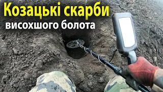 Знайшли багато монет на висохшому болоті: неймовірні знахідки.Коп з minelab equinox 800