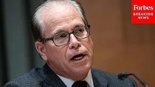 ‘Is Our Economy One That Can Ever Be Government-Centric?’: Mike Braun Poses Question To Witnesses