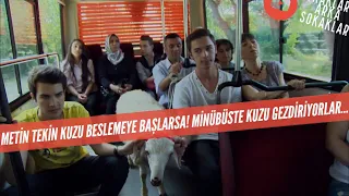 Metin Tekin Evde Kuzu Beslemeye Başlarsa! Mübarek Kuzuyu Kaybettiler! 332. Bölüm