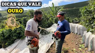 TUDO QUE VOCÊ PRECISA SABER SOBRE COLHEITA DE CAFÉ (VÍDEO COMPLETO)