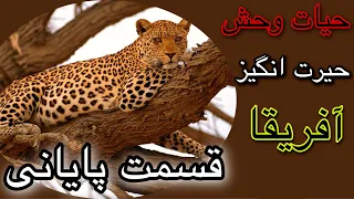 بی نهایت آفریقا قسمت پایانیAfrica Wildlife/hayate vahsh