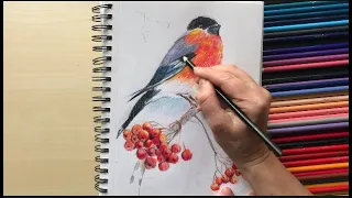Як намалювати снігура кольоровими олівцями. Малюємо разом з Наталкою Барвінок.