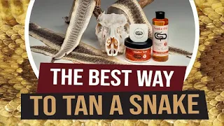 The BEST way to Tan a Snake