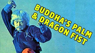 Wu Tang Collection - Buddha's Palm and Dragon Fist (Subtítulos en ESPAÑOL)