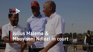 EFF's Malema and Ndlozi briefly appear in court for assault case