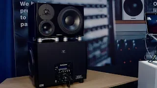 Dynaudio 18S and LYD 48 Combo System