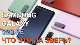 Сравниваем Samsung Galaxy S20 FE и S10 — что лучше?