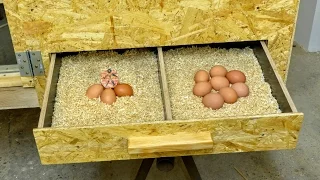 DIY Hen house #2/3 Building