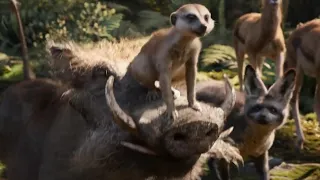 Timon and Pumbaa Scene | THE LION KING | movie Scene (2019)