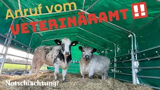 Farmvlog #351 | Unser Betrieb wurde gesperrt!