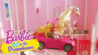 Velké prádlo | Barbie LIVE! In The Dreamhouse | Barbie