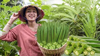 Harvesting OKRA FLOWER, Harvesting COCONUT...Goes To The Market Sell -Making garden / Cooking